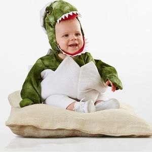 Pottery Barn baby Dinosaur Costume. Excellent condition